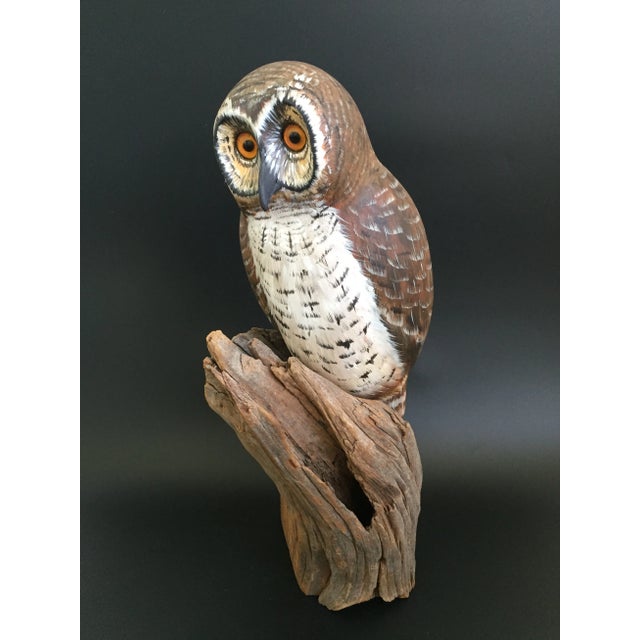 1970s Boreal Owl on Tree Trunk Wood Sculpture by Val Waugh. Life size. Hand craved and hand painted. Glass eyes. Artist...