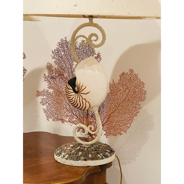 1960s Impressive Coastal Pair Sea Shell W Sea Fans Lamps For Sale - Image 4 of 8