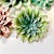 Hollywood Regency Mid-Century Coastal Italian Tole Five Red-Tipped Succulents Sculptural Wall Object For Sale - Image 3 of 8