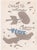 Georges Braque (1885-1954) Carnet Intimes Original Lithograph Year: 1955 Printer: Mourlot Frères for Tériade Size: 357 x...