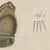 Bertuch, Garden Spider with Magnified Fangs, 1805, Print For Sale - Image 9 of 12