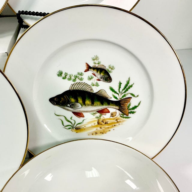 1960s Vintage Adirondack Rustic European Porcelain Fish Dinnerware - 9 Piece Set. For Sale - Image 12 of 17