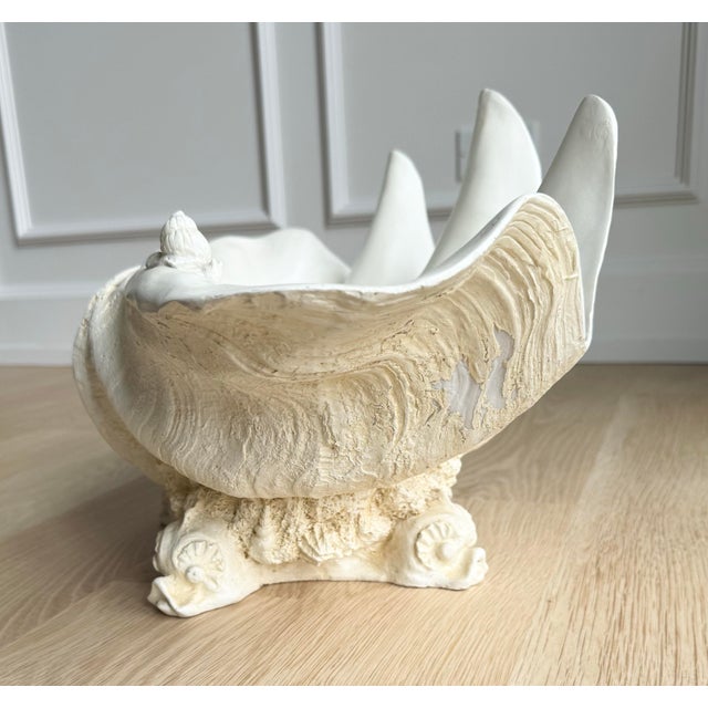 1970s Rare Vintage Winterthur Museum Giant Clam Shell Centerpiece Bowl on Coral Base For Sale - Image 5 of 10