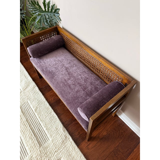 Mid 20th Century 1950s Vintage Mid-Century Modern Cane Back Bench For Sale - Image 5 of 12