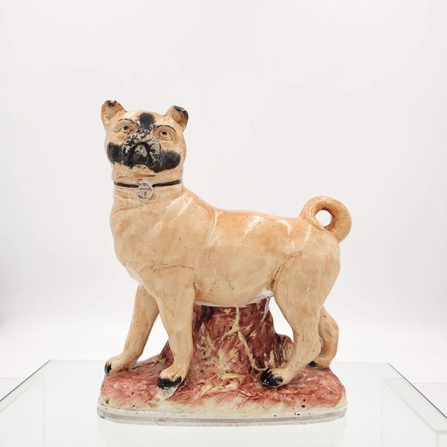 1850 Large Staffordshire Pug, England For Sale - Image 11 of 11