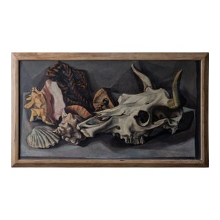 Francis De Erdely Still Life With Skull and Shells For Sale