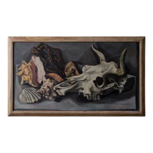 Francis De Erdely Still Life With Skull and Shells