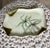 Limoges, France Early 1900s Century Tressemanes & Vogt Hand-Painted Botanical Porcelain Jewelry Tray, Limoges, France For Sale - Image 4 of 12