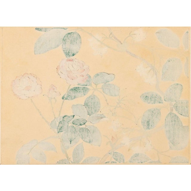 19th Century Japanese School Botanical Woodblock Prints, 3 For Sale - Image 5 of 17