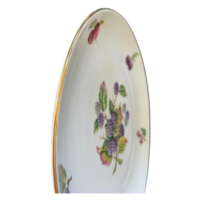 Mid 20th Century Vintage Naaman Israel Fruit Motif Porcelain China Dinner Plate 11" For Sale - Image 5 of 6