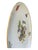Mid 20th Century Vintage Naaman Israel Fruit Motif Porcelain China Dinner Plate 11" For Sale - Image 5 of 6