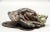 Gray Antique Cold Painted Vienna Bronze Hound Dog Note Clip For Sale - Image 8 of 11