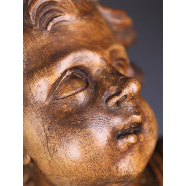 Brown Italian Artist, Large Carved Putto Cherub Figure, Late 18th Century, Limewood For Sale - Image 8 of 18