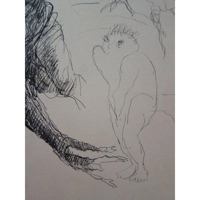 Edouard Goerg, Anthropomorphic Trunk, Ink on Paper For Sale - Image 3 of 5
