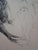Edouard Goerg, Anthropomorphic Trunk, Ink on Paper For Sale - Image 3 of 5