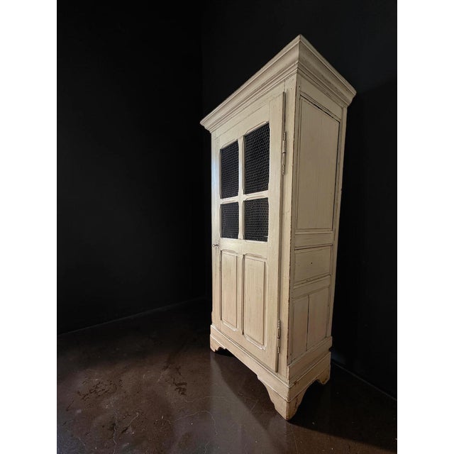 19th-Century French Provincial Painted Wire-Mesh Armoire For Sale - Image 16 of 18