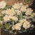 Willy Van Riet, Flowers Vase, 1923, Oil Painting on Canvas, Framed For Sale - Image 4 of 11