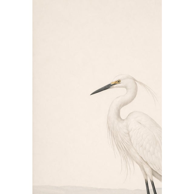 White Egret Coastal Study, Neutral Bird Wall Art Print, 24″ × 36″ For Sale In Buffalo - Image 6 of 10