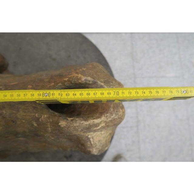 Large Decorative Wooden Dinosaur Head, 1970s For Sale - Image 11 of 16