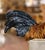 19th Century French Barbotine Rooster Vase by Louis Carrier-Belleuse For Sale - Image 9 of 14