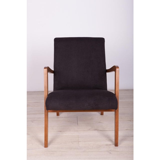 Wood Set of Type 300-138 Beech Armchairs from Bystrzyckie Furniture Factory, 1960s For Sale - Image 7 of 18