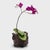 Chinese scholars and connoisseurs prized the organic form of burl wood and the way it referenced the wonders of the...