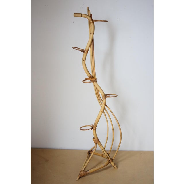 Brown Rattan Plant Stand from Uluv, Czechoslovakia, 1960s For Sale - Image 8 of 8