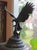 Antique French Bronze Sculpture of Eagle Falcon by Jules Moigniez, Large 24" For Sale In Dallas - Image 6 of 15