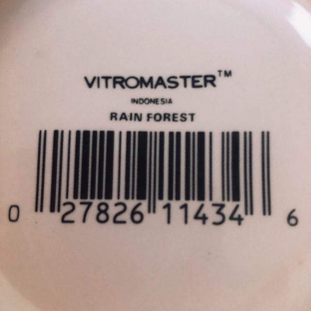 90's Vitromaster Rain Forest Mugs S/4 For Sale - Image 4 of 6