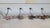 Arts and Crafts Steel Coat Rack, 1890s, Set of 2 For Sale - Image 5 of 6