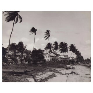 Hanna Seidel, Surinamese River with Palm Trees, Black and White Photograph, 1960s For Sale