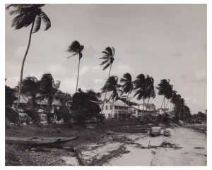 Hanna Seidel, Surinamese River with Palm Trees, Black and White Photograph, 1960s