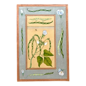 Mid 20th Century Vintage Indian Hand Painted Mughal Flower Painting of Pea Flower Plant