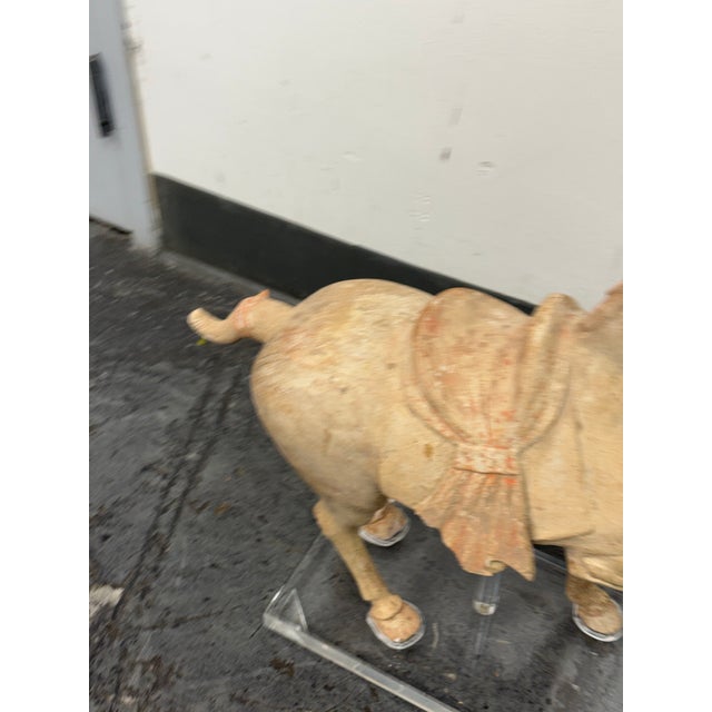 Asian Antique Pottery Tang Dynasty Style Horse + Lucite Stand For Sale - Image 3 of 12