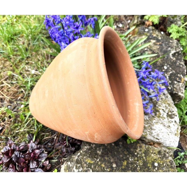 Sculpture Materials Vintage Terracotta Amphora Planter, 1990s For Sale - Image 7 of 11