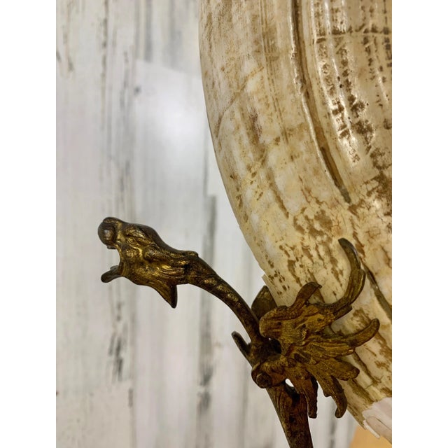 Late 19th Century Antique Wild Boar Trophies For Sale - Image 5 of 12