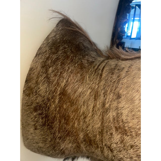 Vinatge African Kudu Taxidermy Shoulder Mount-Very Large For Sale - Image 9 of 9