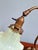 Art Nouveau Desk Lamp in Bronze and Opalescent Glass, 1890s For Sale - Image 11 of 16