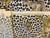 Mid-Century Modern Vintage Brunschwig + Fils Mike Bell Couch With Vintage Original Fabric + 9 Extra Yards New Leopard Print For Sale - Image 3 of 7