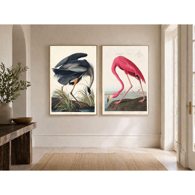 American Audubon Flamingo & Heron Set, Vintage Art Print Reproductions, 24″ × 36″ For Sale - Image 3 of 10