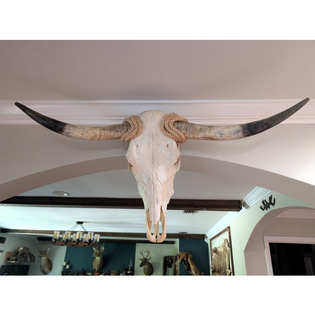 Add a classic touch of the American West to Your space