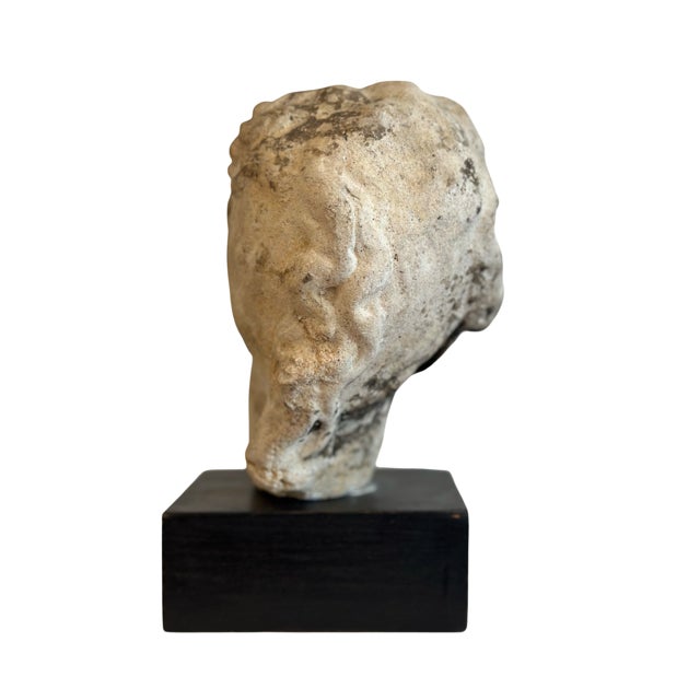 Early 20th Century Weathered Classical Fragment Bust For Sale - Image 4 of 5