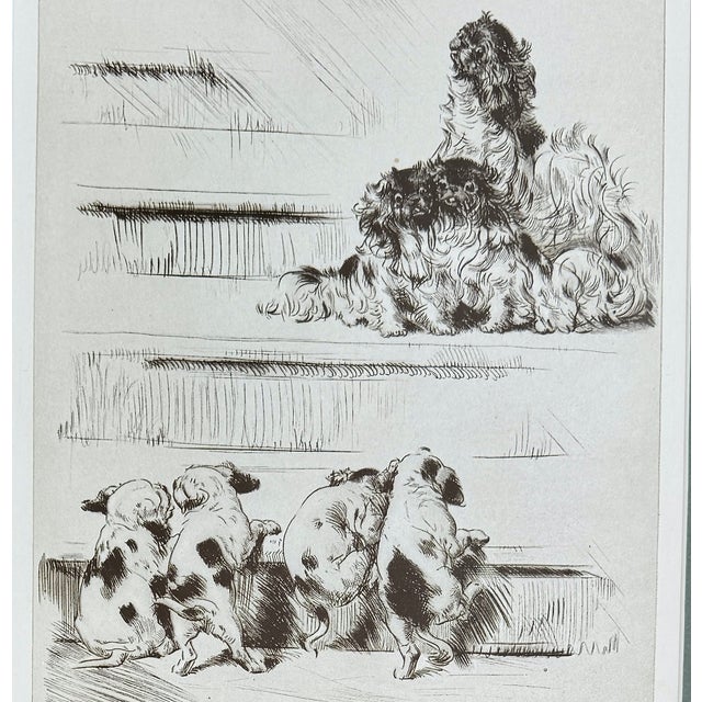 Illustration Diana Thorne "Social Climbers" Signed Dog Etching, Framed, Circa 1935 For Sale - Image 3 of 9