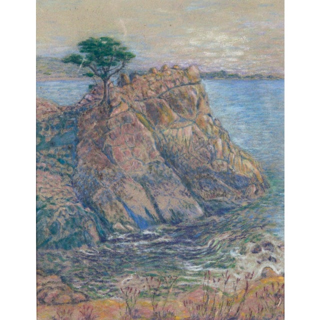 Veteran Cypress at Carmel California by Hugh Moran 1936 Pastel painting of the Veteran Cypress at Carmel, California 1936...