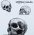 Richard ORLINSKI (1966) Skull Digigraph, signed in the plate On wove paper, 20 x 20 cm (approx. 8 x 8 inches) Excellent...