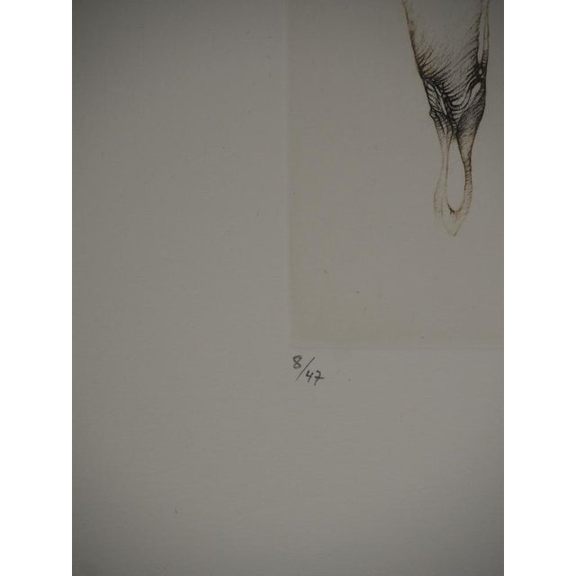 Modern Fred Deux, Rooted Bodies, Original Engraving For Sale - Image 3 of 6