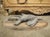 Pair of Circa 1890 Weathered French Hunt Trophies on Natural Oak Oval Panels For Sale - Image 9 of 18