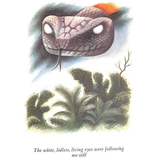 Traditional "Green Mansions: A Romance of the Tropical Fruit" 1944 Hudson, w.h. For Sale - Image 3 of 12