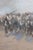 Frederick Remington Reproduction Oil Painting on Canvas For Sale - Image 13 of 17