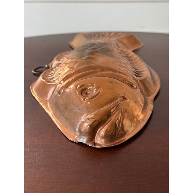 Italian Copper Fish Molds-- A Pair For Sale - Image 15 of 18